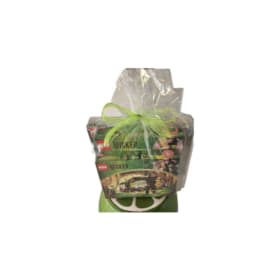 Wicked LEGO Collection item