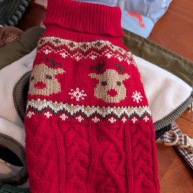 Red doggy Christmas jumper, size small item
