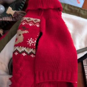 Red doggy Christmas jumper, size small item