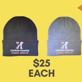GRAY Beanie with CCAR logo item
