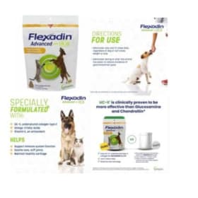 Flexadin Advanced- 60 day supply for both horses and dog/cat item