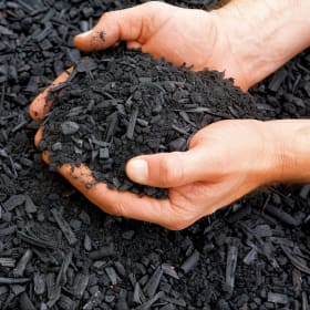 Black Shredded Hardwood item