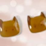 Boucles d'oreilles chat item