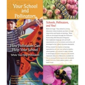 BROCHURE: Your School and Pollinators (x50) item