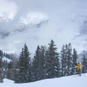 Full-Day Private Ski Lessons with Ski Pro Wynn Miller item