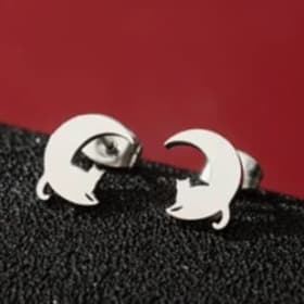 Chat en acier inoxydable item