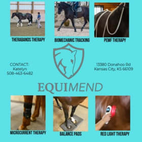 One Equine Wellness Session from Equimend KC item