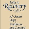 B-24 Paths to Recovery item