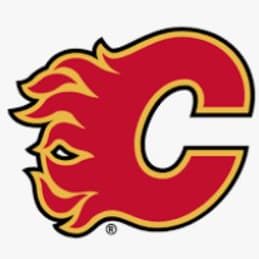 Flames vs Carolina - BOX SUITE item