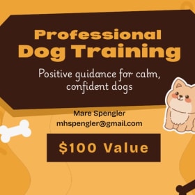 Professional Dog Training item