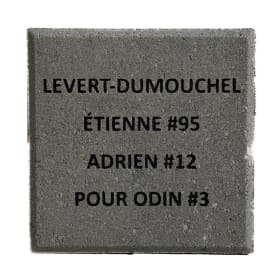 Brique Large item