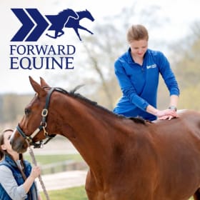 Veterinary Spinal Manipulation Therapy- Forward Equine, WI item