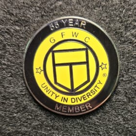 55 Year Pin item