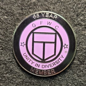 65 Year Pin item