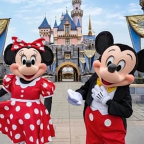 Disneyland Theme Park Experience item