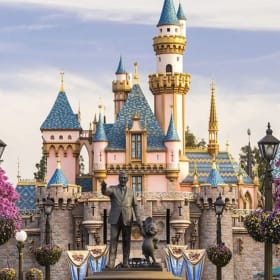 Disneyland Theme Park Experience item