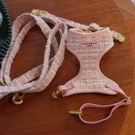 Pink harness, collar and lead set, size XXS item