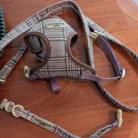 Tweed harness, collar and lead, size XXS. item
