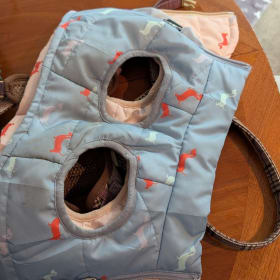 Small blue dog coat item