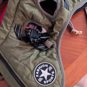 Small green dog coat item