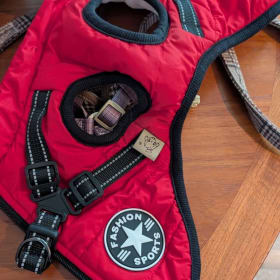 Small red dog coat item