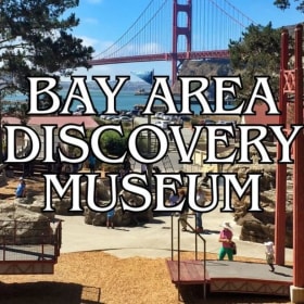 Fuel Curiosity and Creativity item