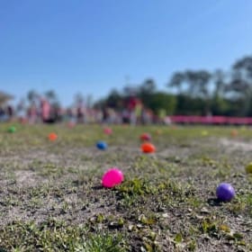 Egg Hunt Sponsor item