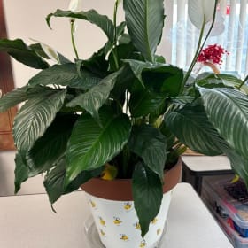 Kindergarten Thumbprint Flower Pot item