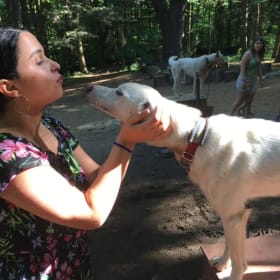 Dog Yard Tour & Hike item