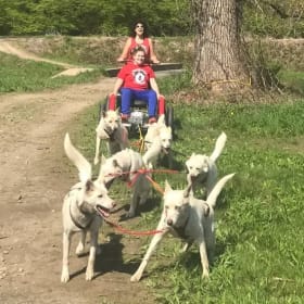 Dog Yard Tour & Hike item