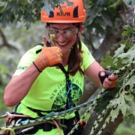 2 Hours of Certified Arborist with Chainsaws item