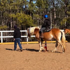 2 One-Hour Horse Riding Lessons (Therapeutic or Western) item