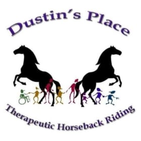 2 One-Hour Horse Riding Lessons (Therapeutic or Western) item