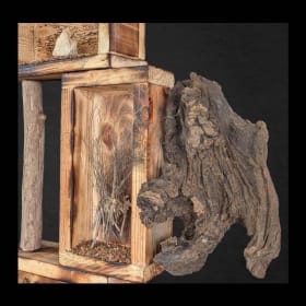 Habeus Corpus item