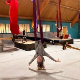 June 8-12: Flying Circus - Monday item