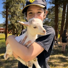July 13-17: GOATS & ARTS - Monday item