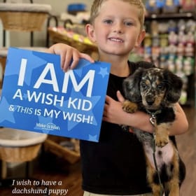 Donate to Make-A-Wish Single Bid Item! (Copy) item