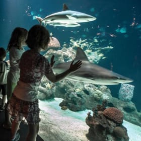 Greensboro Science Center Day Passes item