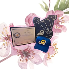 Stadium Spirit Package item