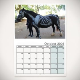 2026 Equine Calendar item
