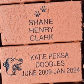 Custom Memorial Brick 4x8 item