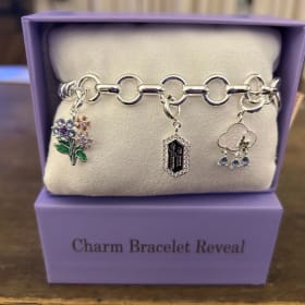 Charmelier Charm Bracelet (Value: $144) item