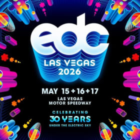 🎡 2 VIP Passes to EDC Las Vegas + Themed Goodie Basket item