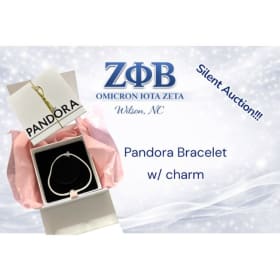 Pandora Bracelet and charm item