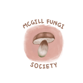 Pink MFS Sticker item