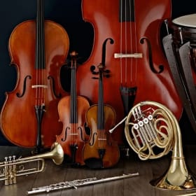 Sponsor one of the 18  Orchestra Musicians item
