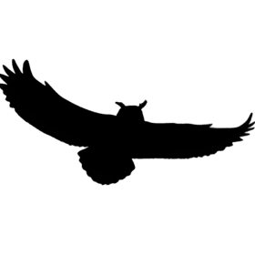 Great Horned Owl Sponsor item