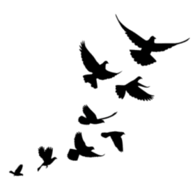 Feathered Friends Sponsor item