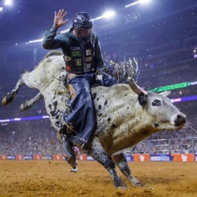 Houston Livestock Show & Rodeo Tickets with Concert item