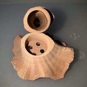 2.5" Chanterelle Mushroom item